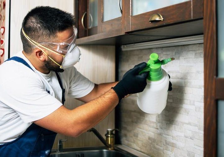 Practical Approaches To Pest Control