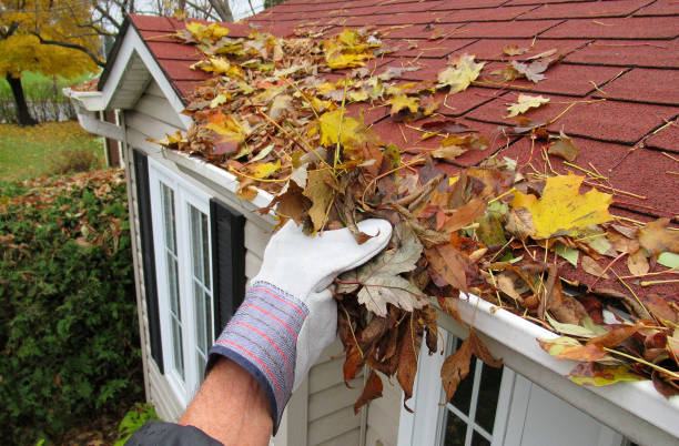How to Save Money through Gutter Cleaning?