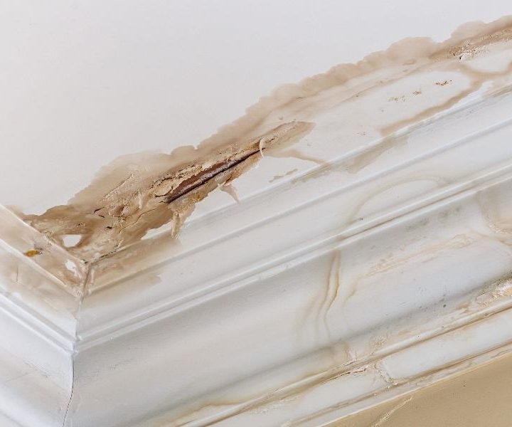 How to choose the right plumber for any work?