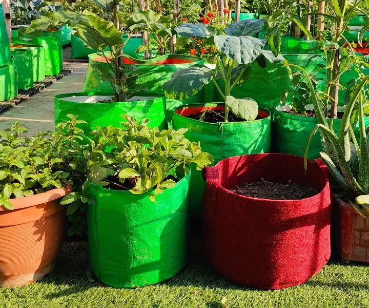 Style Minimalist Spaces with Sculptural Indoor Planters and Elegant Pots