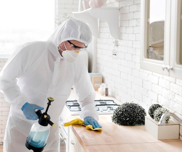 How Professional Pest Control Services Handle a Cockroach Infestation