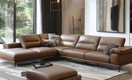 Leather Sofas in Singapore: Are They Worth the Investment?